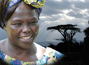 United Common Ground is offering a free showing of the film Taking Root: The Vision of Wangari Maathai.