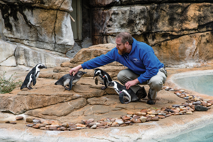 what-s-it-like-to-be-a-zookeeper-the-clarion