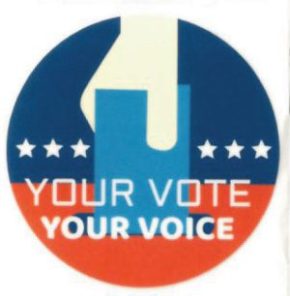 Your vote, your voice election logo