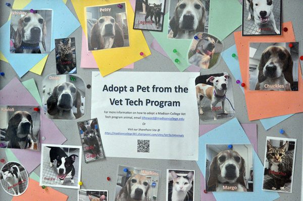 Una pantalla fuera del área de Vet Tech en el campus de Truax muestra las mascotas actualmente en adopción.